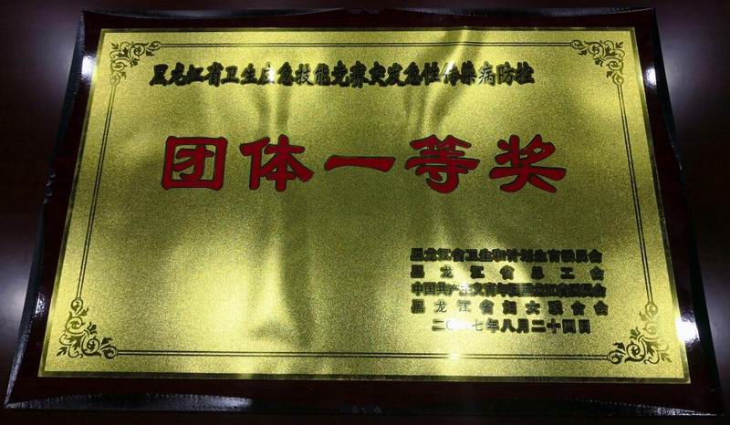 黑龍江省衛生應急技能競賽突發急性傳染病防控團體一等獎