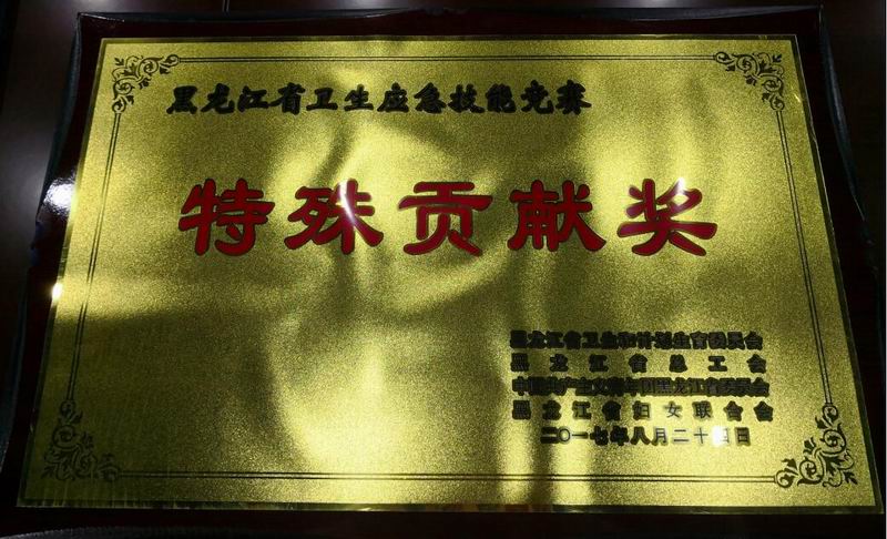 黑龍江省衛生應急技能競賽特殊貢獻獎