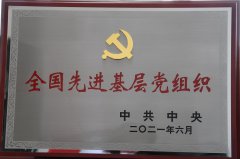 全國先進基層黨組織